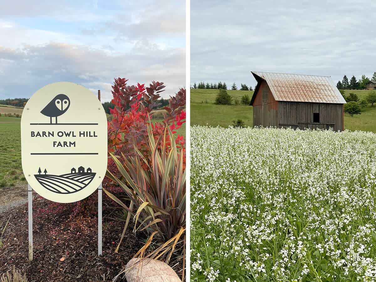 Barn Owl Hill - Historic Farmhouse Vineyard Views — photo 5