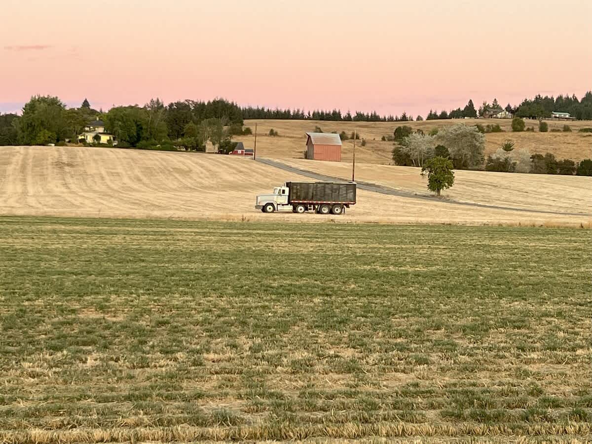 Barn Owl Hill - Historic Farmhouse Vineyard Views — photo 7
