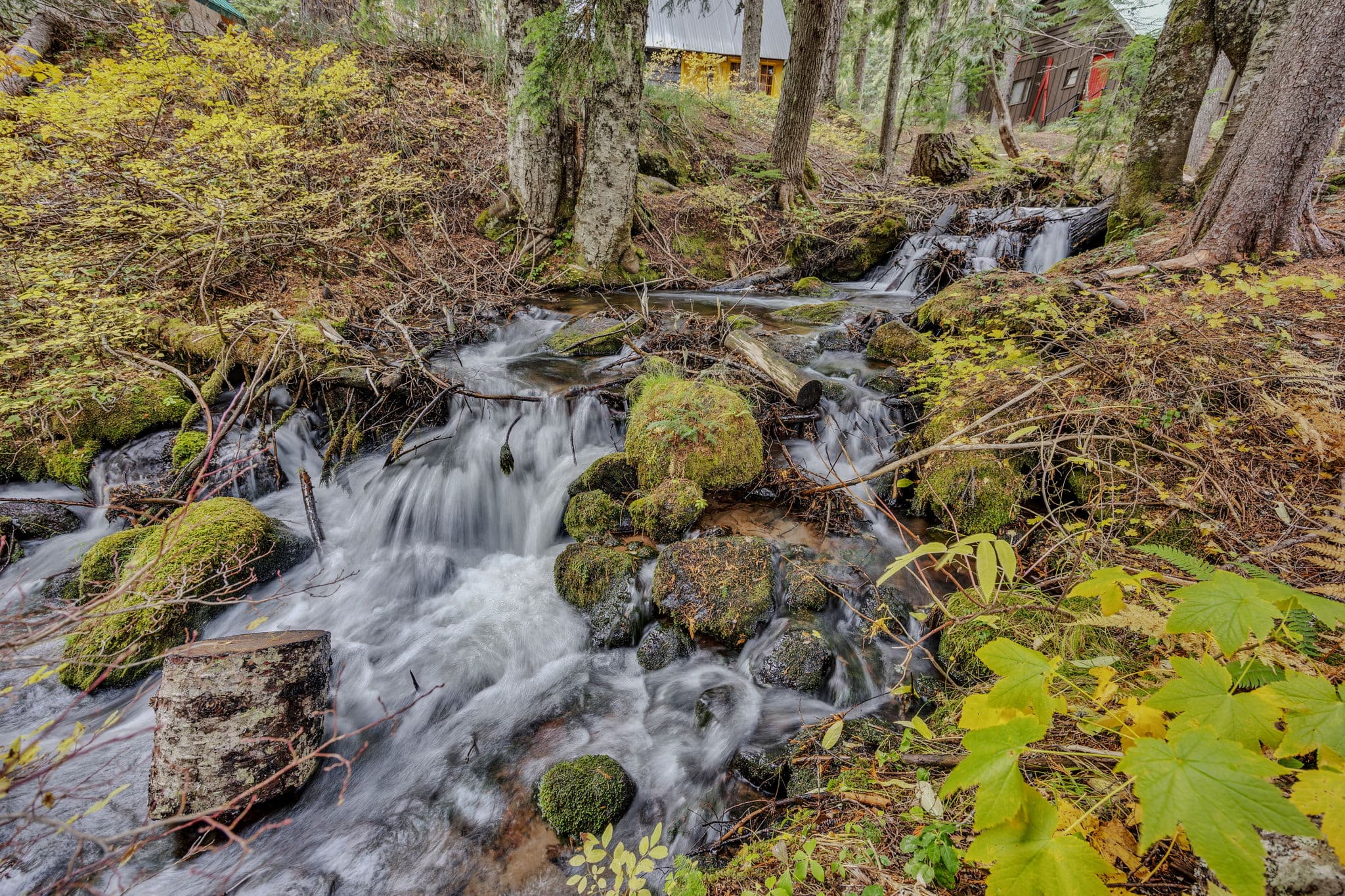 Berghuttlein Getaway - Cozy family alpine retreat with creek access — photo 4