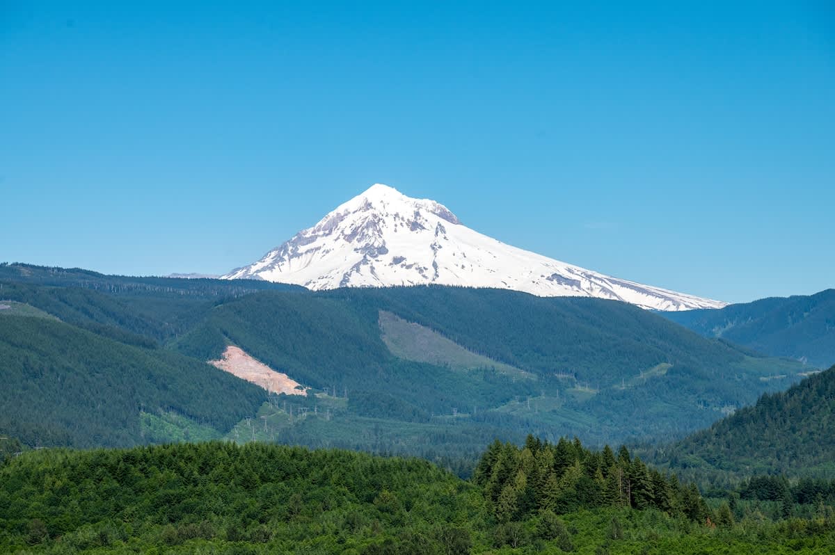Hoodview House - Luxury Mt Hood Scenic Views — photo 5