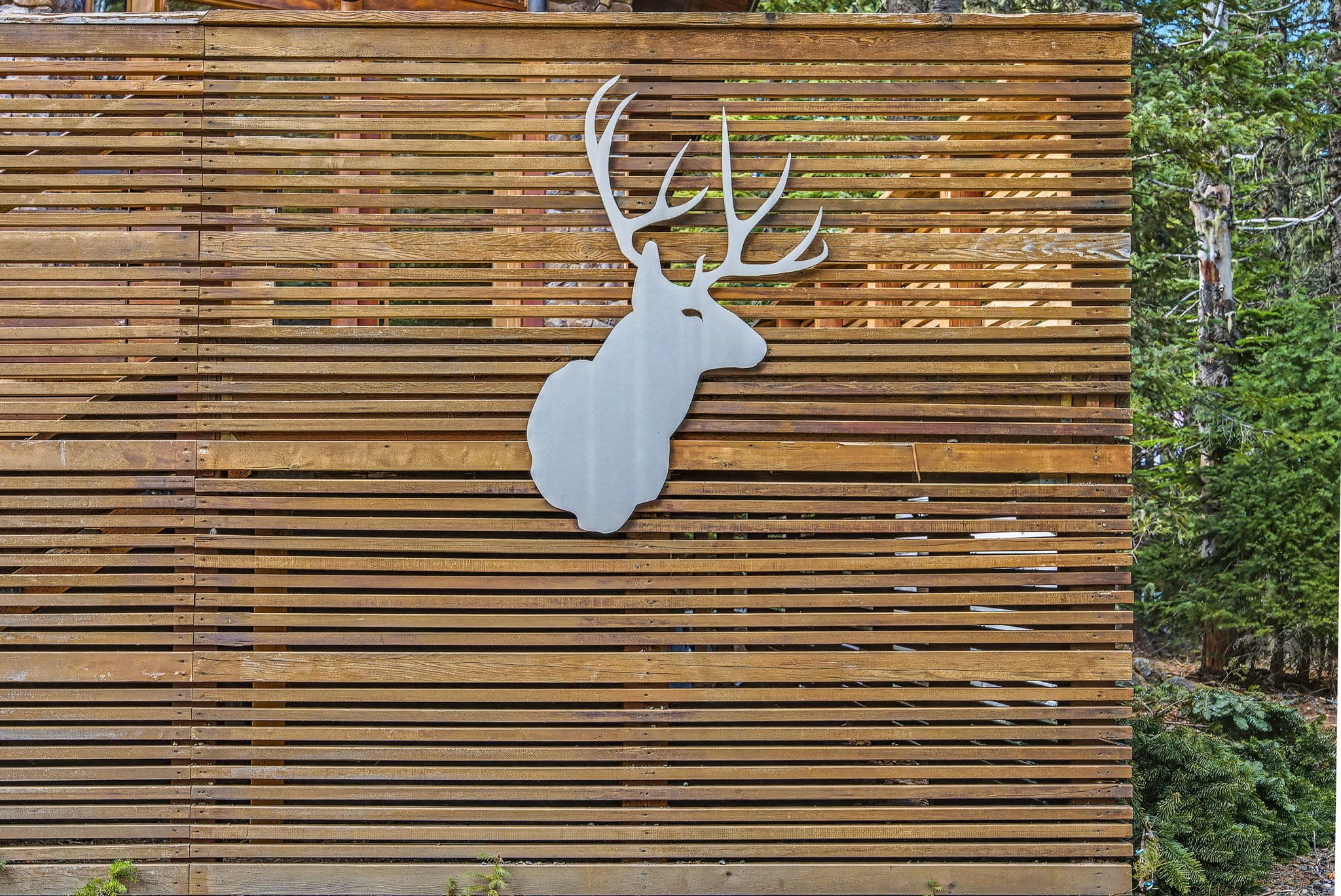 Mule Deer - Grand Mt. Hood Chalet for Groups — photo 7