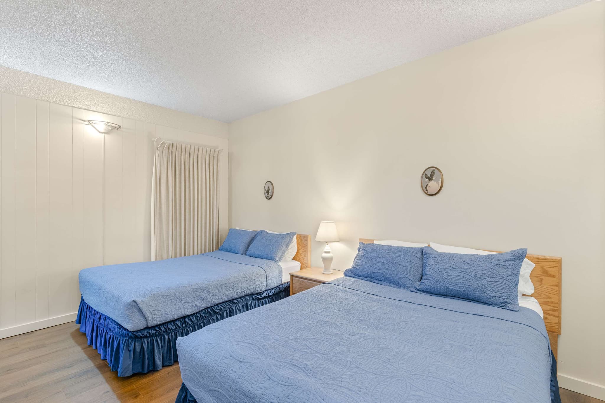 Sand & Sea (310) Driftwood - Oceanfront Pet Friendly — photo 4