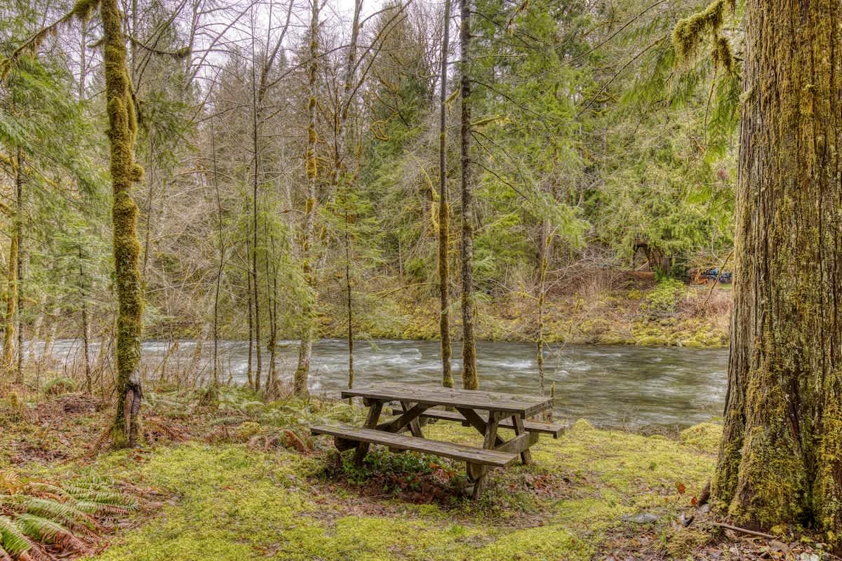 Thompson Cabin - Riverfront - Pet Friendly — photo 3