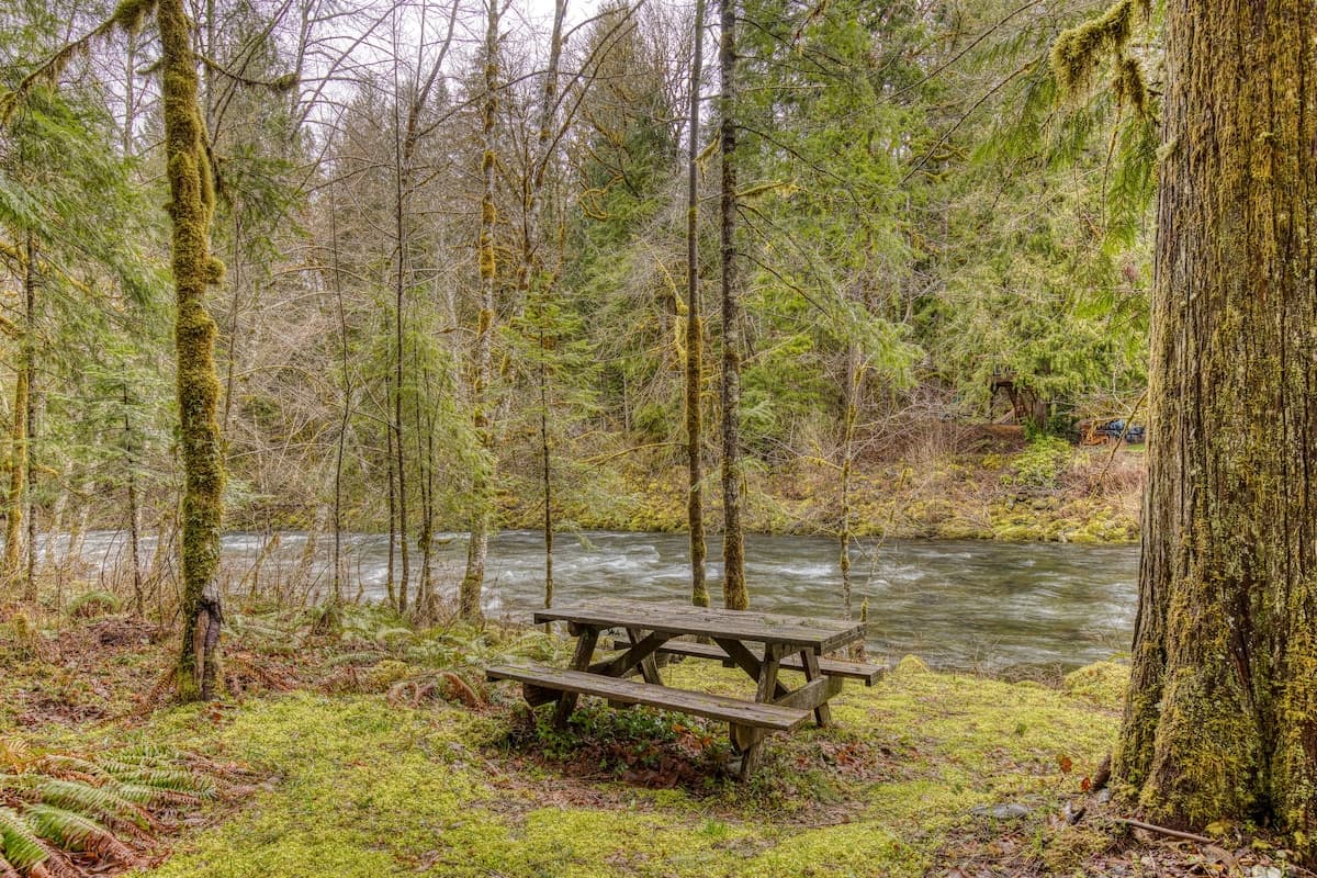 Thompson Cabin - Riverfront - Pet Friendly — photo 2