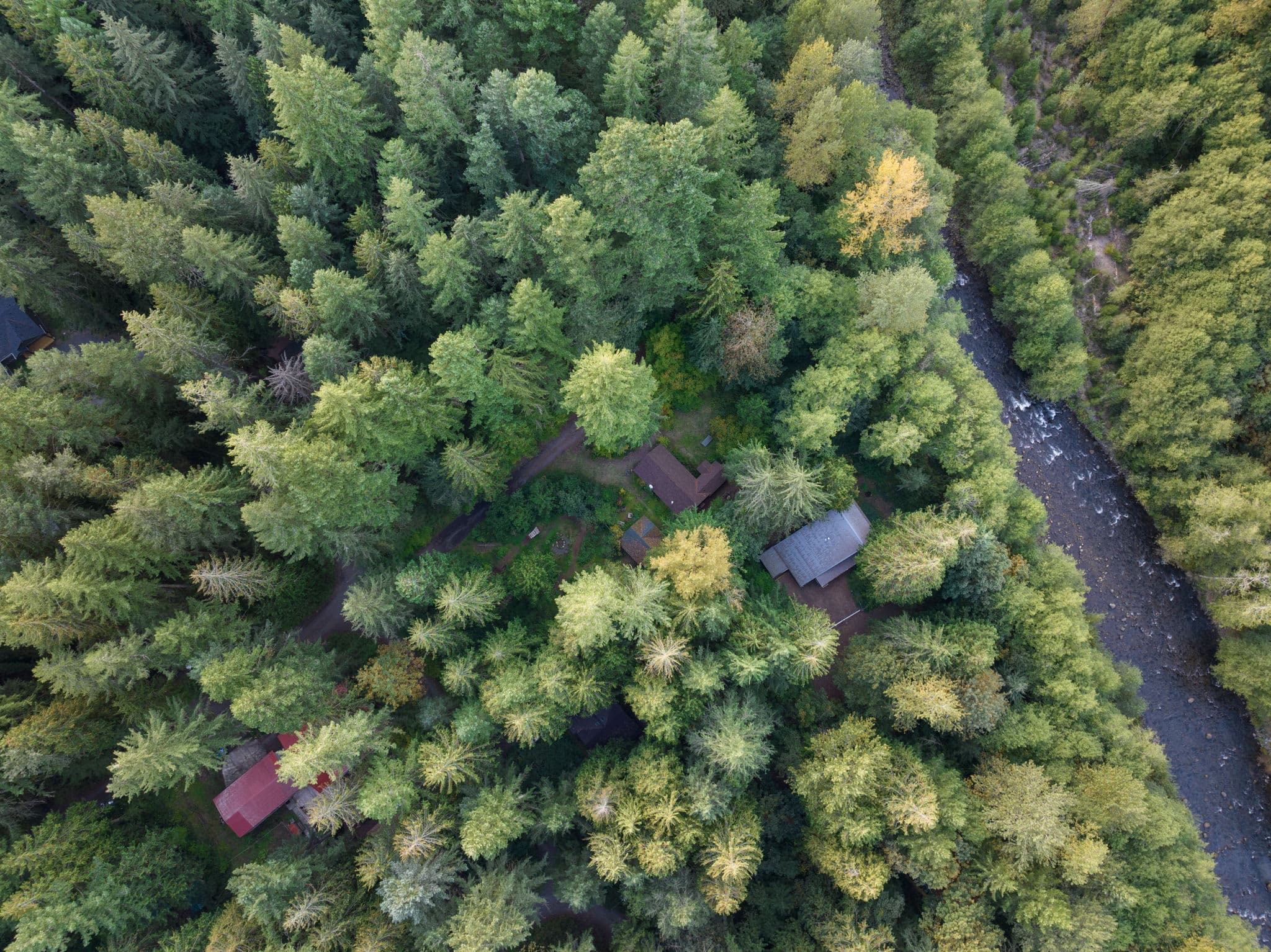 Whispering Pines: Hot Tub Retreat w Sports Court — photo 5