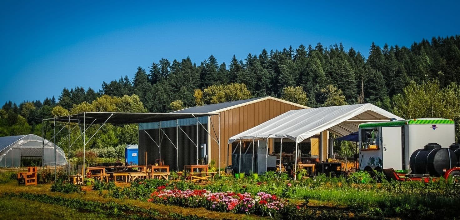 Non-Alcoholic Treat In Wine Country: Discover New Local Treasures