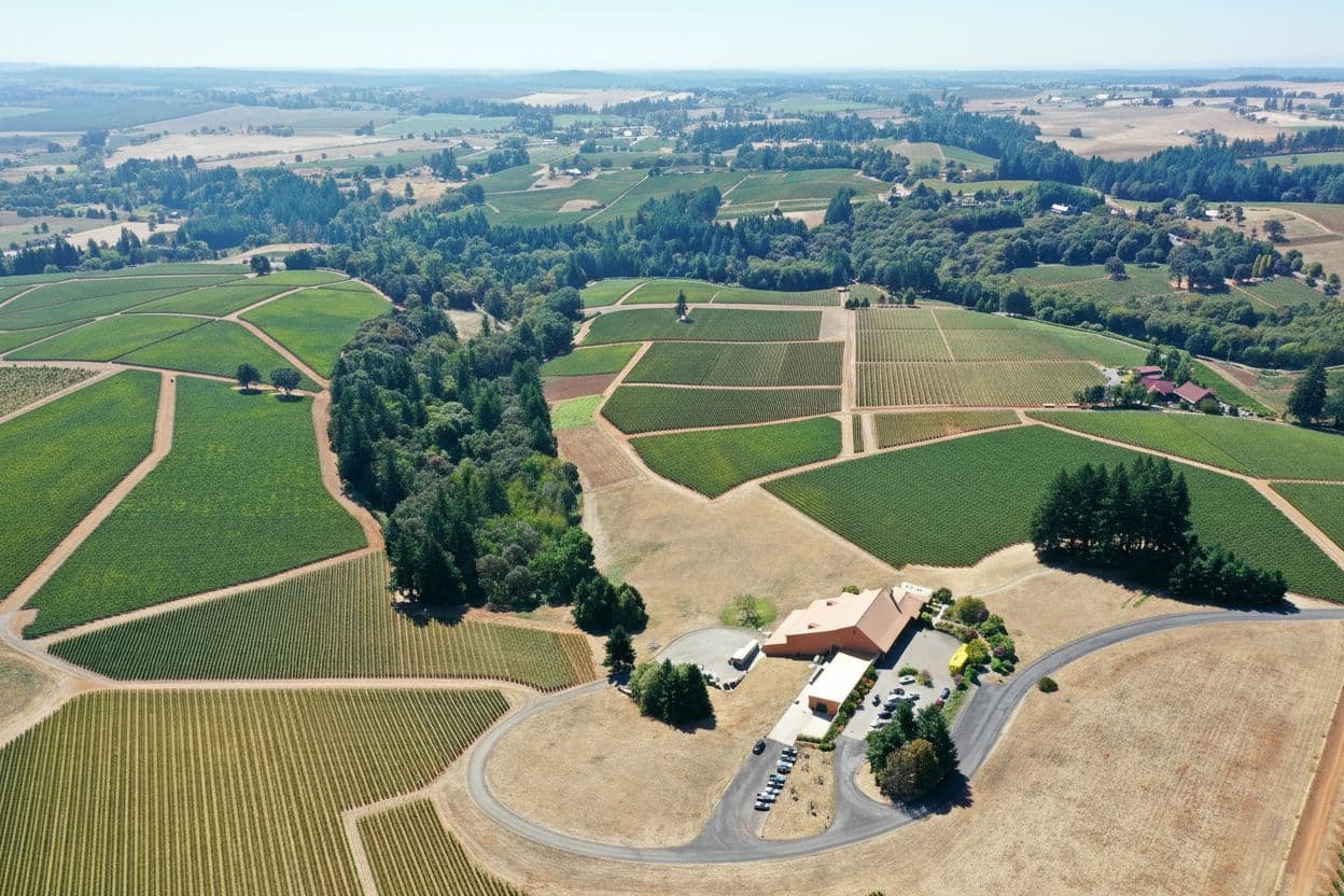 Wine Country Magic: Exploring Oregon's Best Scenic Wineries